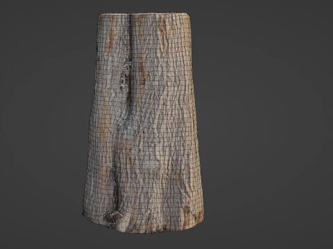 Log 3D Model