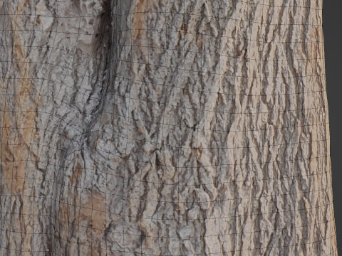 Log Modelo 3D