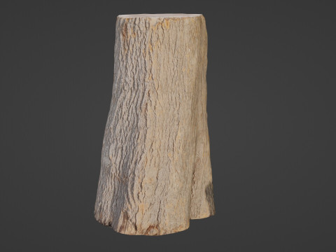 Log Modelo 3D