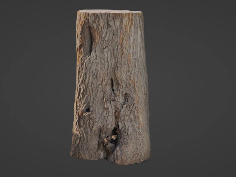 Log 3D Model
