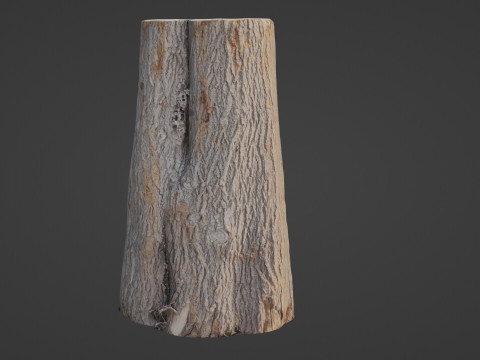Log Modelo 3D