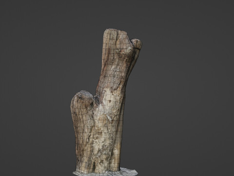Scanned Trunk 3D Model