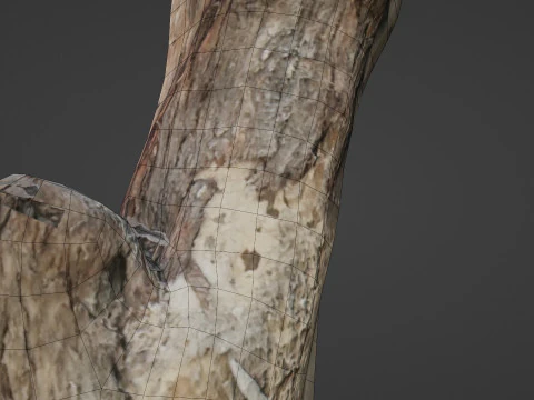 Zeskanowany bagażnik Model 3D