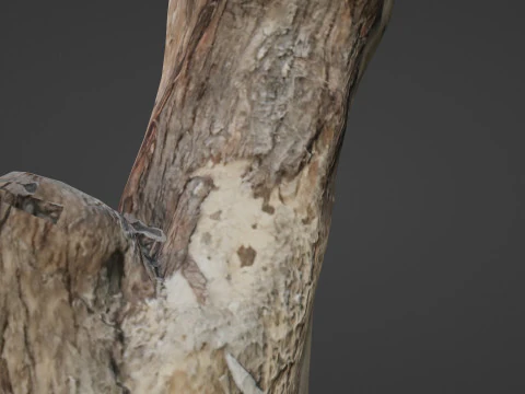 Zeskanowany bagażnik Model 3D