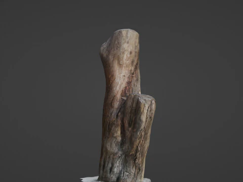 Zeskanowany bagażnik Model 3D