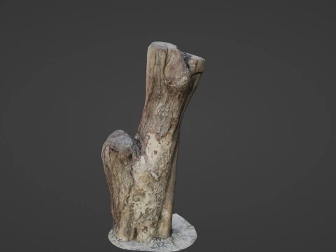 Zeskanowany bagażnik Model 3D