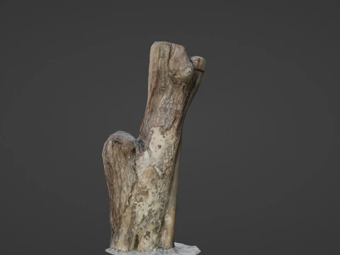 Zeskanowany bagażnik Model 3D