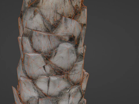 Palm Tree 3D Model