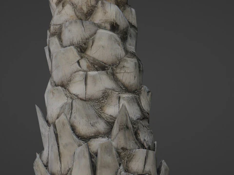 Palm Tree 3D Model