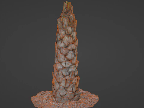 Palm Tree 3D Model