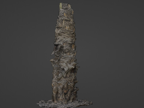 Palm Tree 3D Model