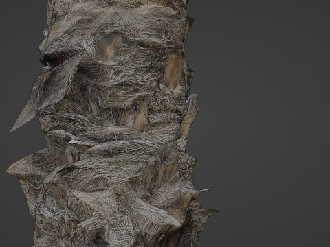 Palm Tree 3D Model
