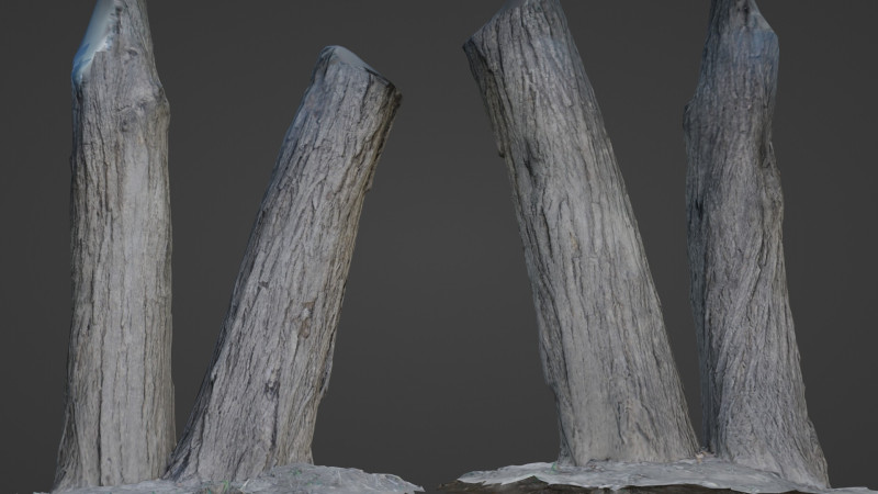 Tree two stems 3D Model .c4d .max .obj .3ds .fbx .stl .blend 