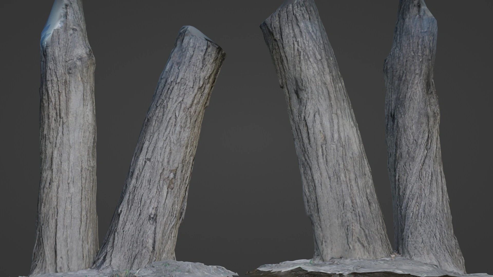 Tree two stems 3D Model .c4d .max .obj .3ds .fbx .stl .blend 