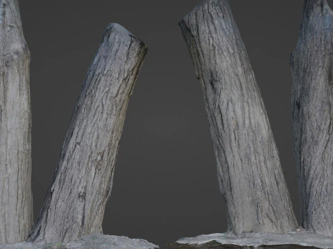 Drzewo dwie łodygi Model 3D