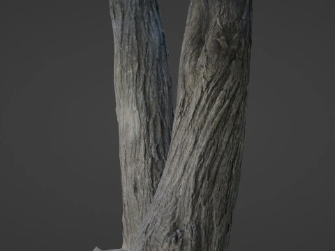 Tree two stems 3D Model