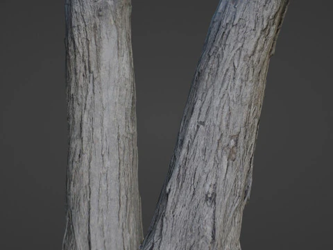 Tree two stems 3D Model