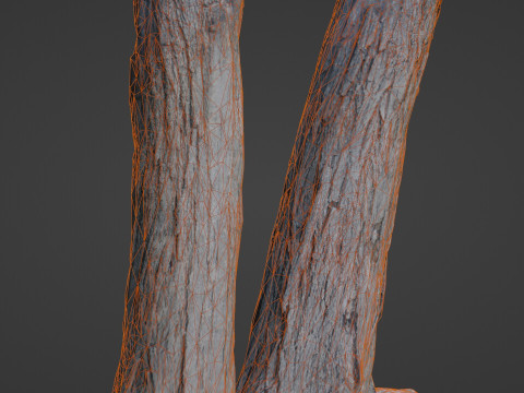 Tree two stems 3D Model