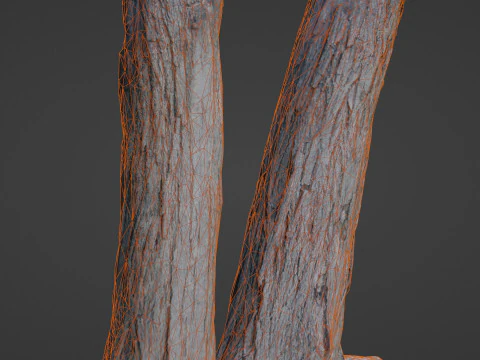 Tree two stems 3D Model