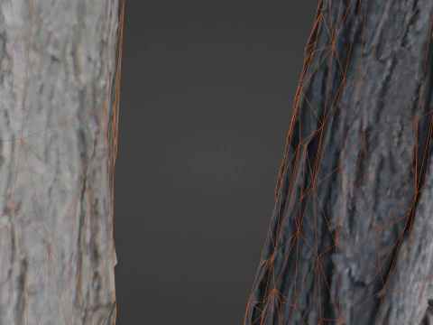 Tree two stems 3D Model
