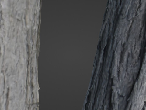 Tree two stems 3D Model