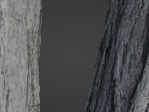 Tree two stems 3D Model
