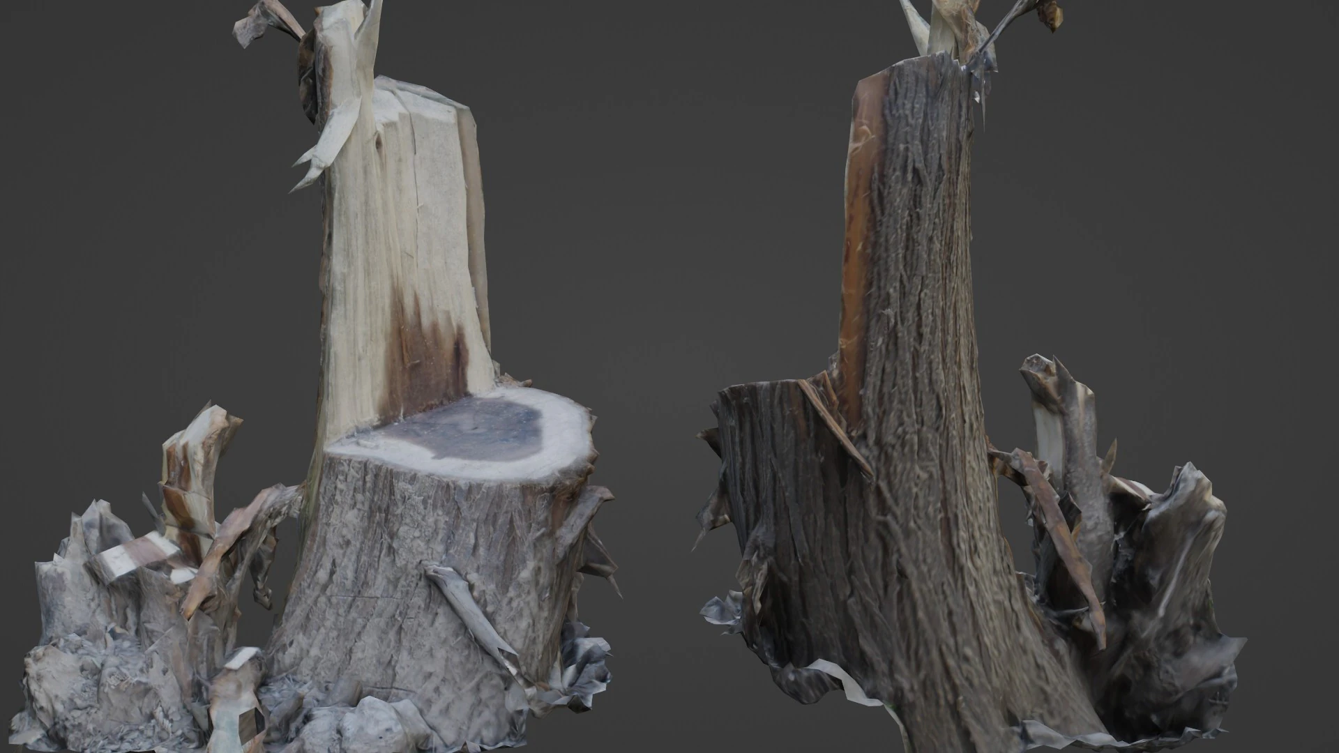 Cutted tree trunk 3D Model .c4d .max .obj .3ds .fbx .stl .blend 