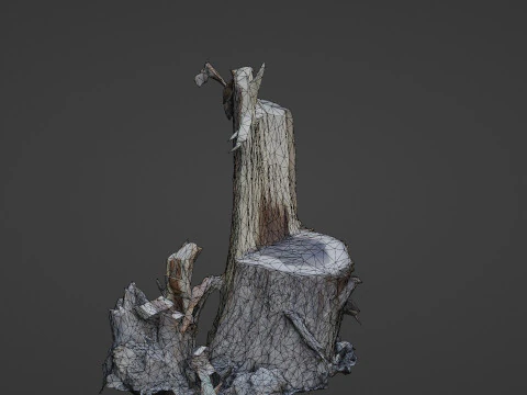 Cutted tree trunk 3D Model