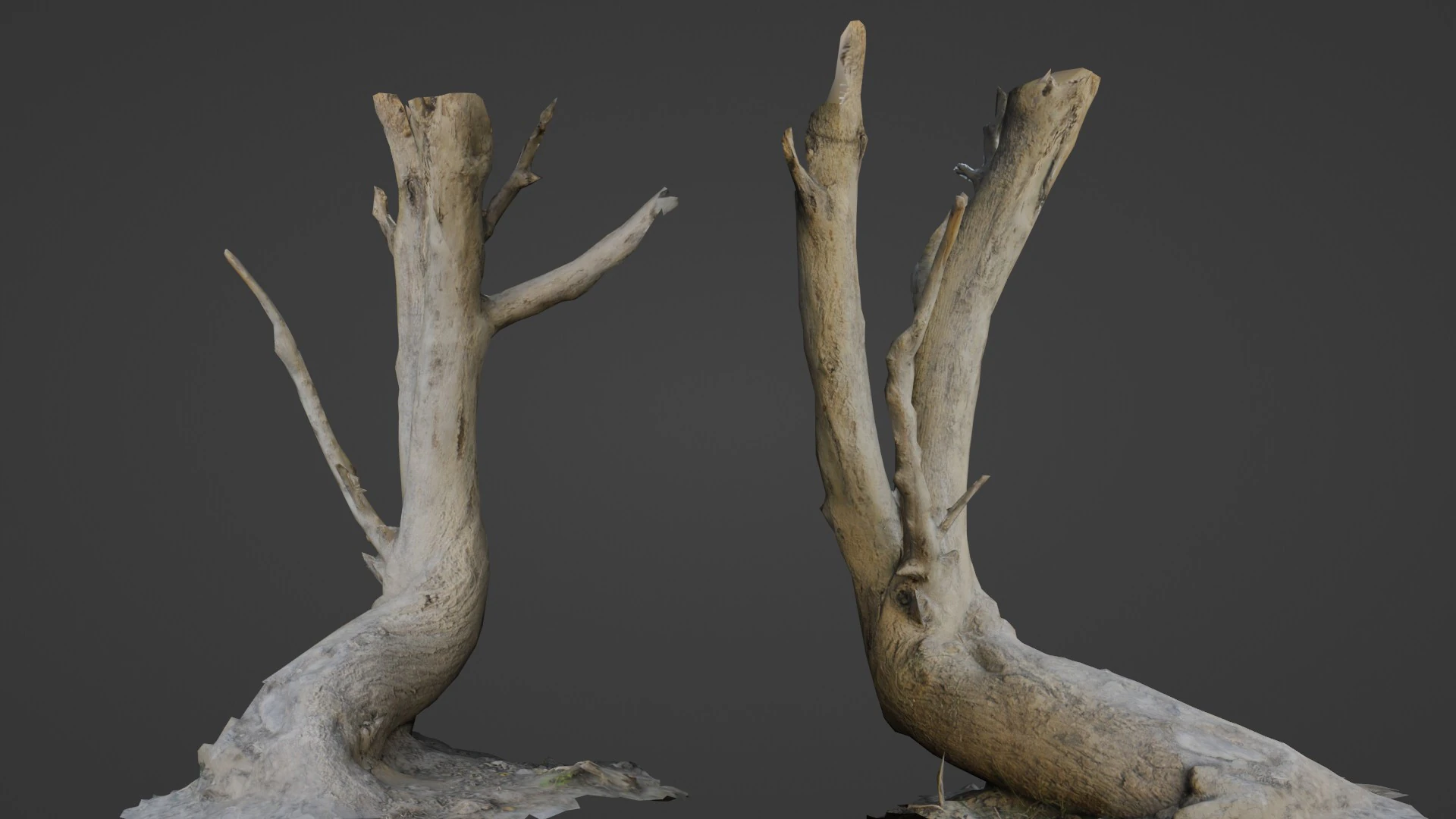 Tronco de &aacute;rvore inclinado Modelo 3D .c4d .max .obj .3ds .fbx .stl .blend 