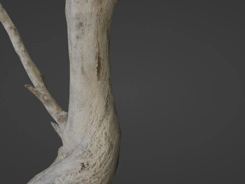 Tronco de &aacute;rvore inclinado Modelo 3D