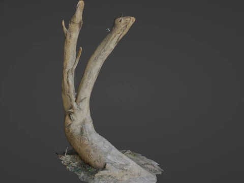 Tronco de &aacute;rvore inclinado Modelo 3D