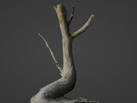 Tronco de &aacute;rvore inclinado Modelo 3D