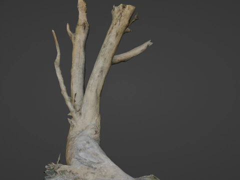 Tronco de &aacute;rvore inclinado Modelo 3D