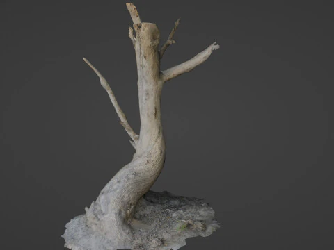Tronco de &aacute;rvore inclinado Modelo 3D
