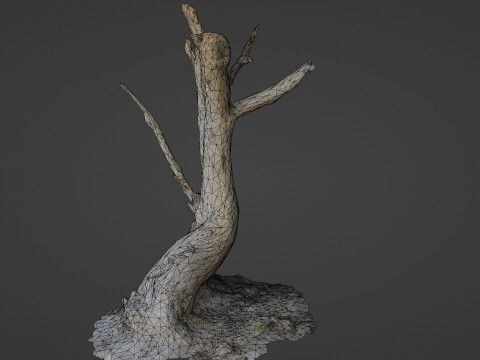Tilted tree trunk 3D मॉडल