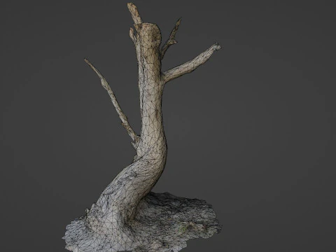 Tronco de &aacute;rvore inclinado Modelo 3D