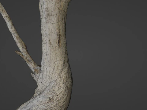 Tronco de &aacute;rvore inclinado Modelo 3D