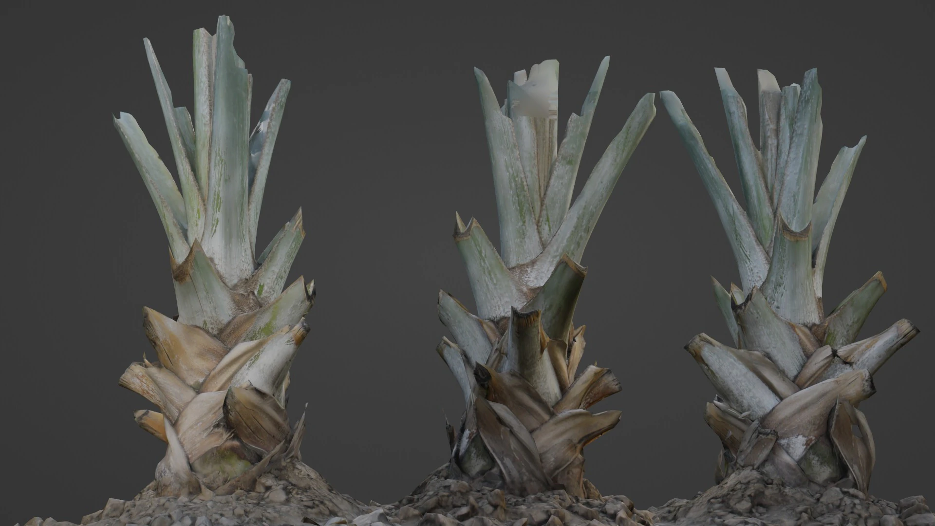 Tree Stem 3D Model .c4d .max .obj .3ds .fbx .stl .blend 