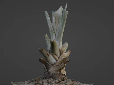 Tree Stem 3D Model