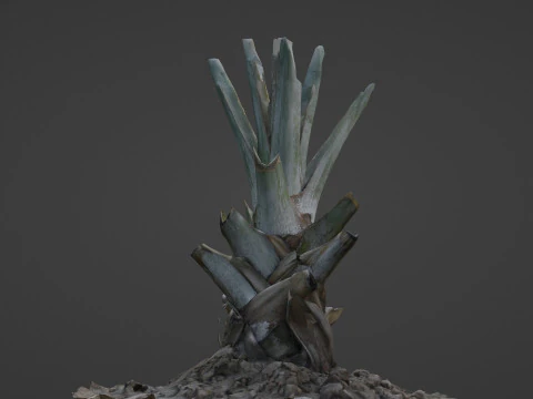 Tree Stem 3D Model