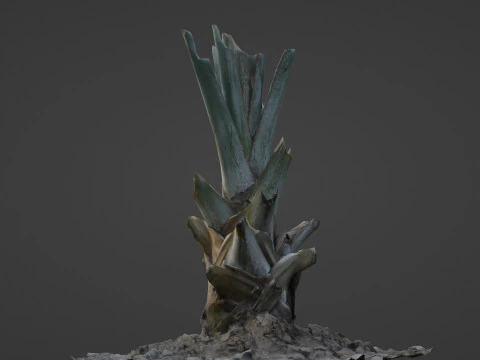 Tree Stem 3D Model