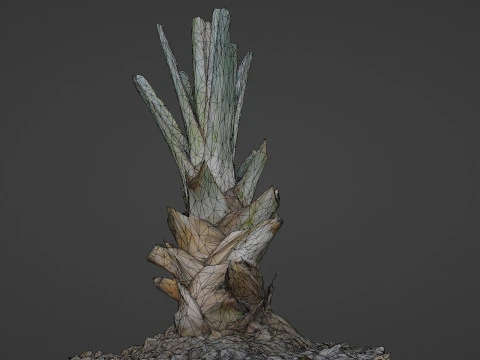 Tree Stem 3D Model