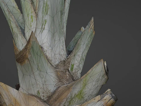 Tree Stem 3D Model