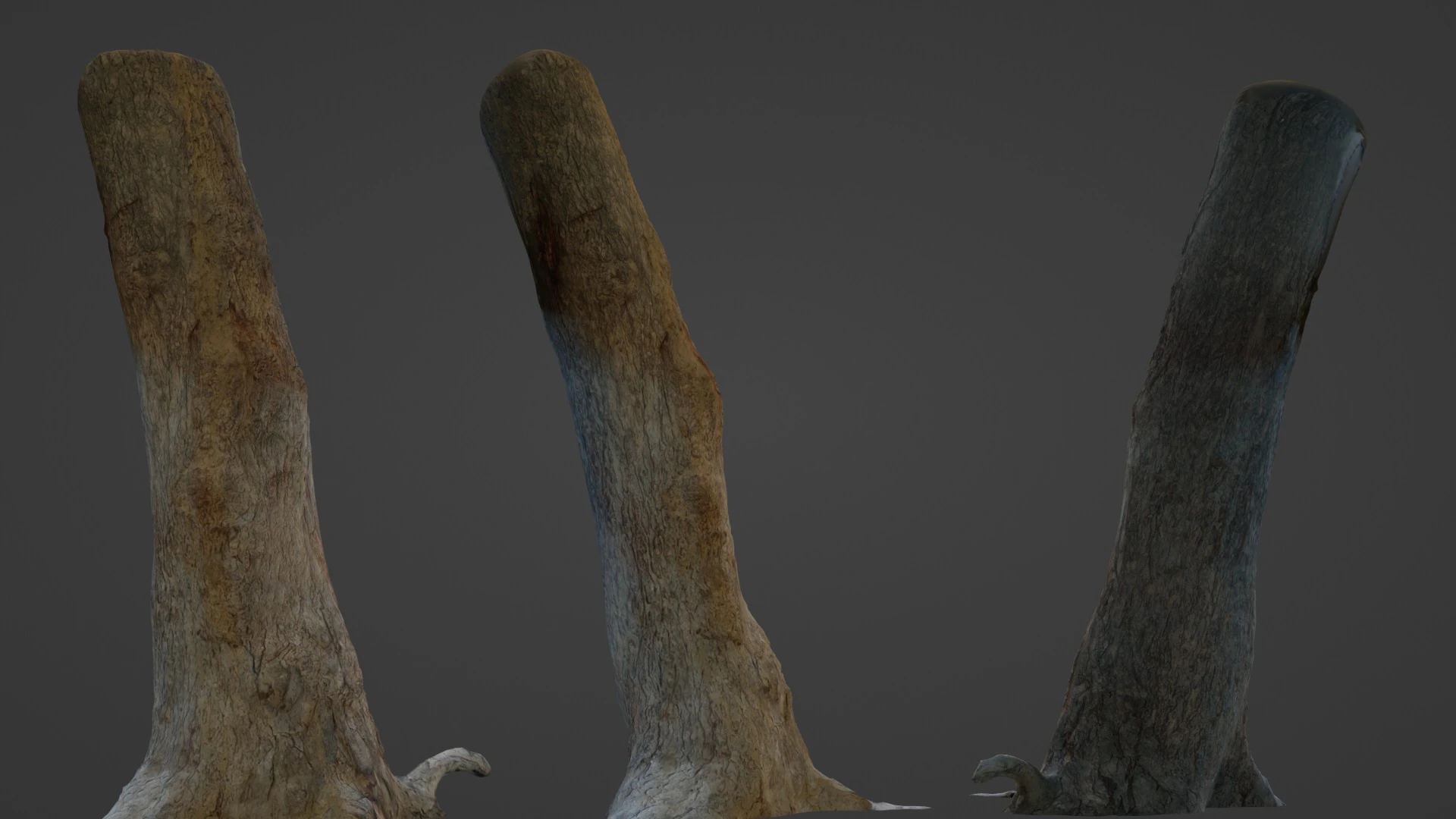 Tree Trunk 3D Model .c4d .max .obj .3ds .fbx .stl .blend 