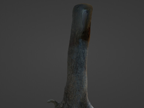 Tree Trunk 3D Модель