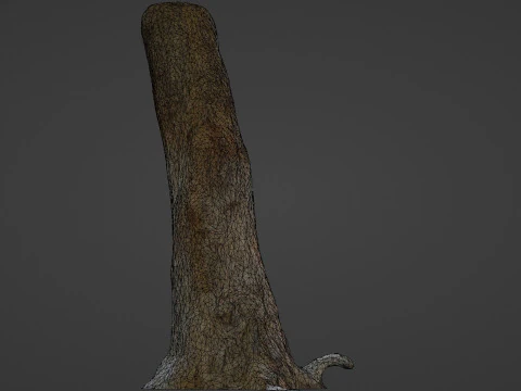 Tree Trunk 3D Model