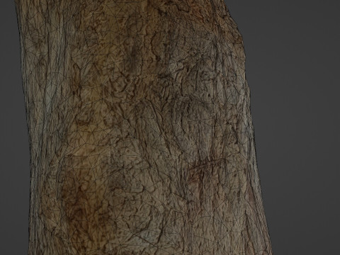 Tree Trunk 3D Модель
