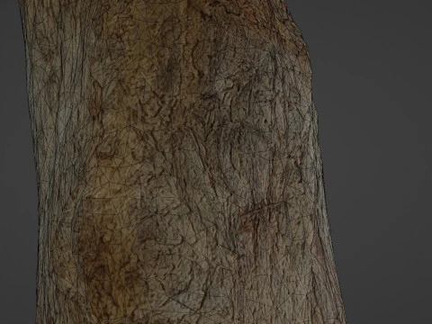 Tree Trunk 3D Model