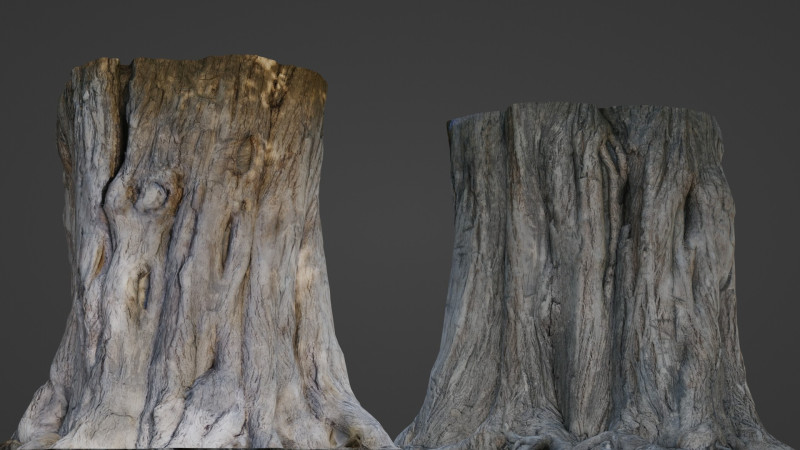 Trunk Aged 3D Model .c4d .max .obj .3ds .fbx .stl .blend