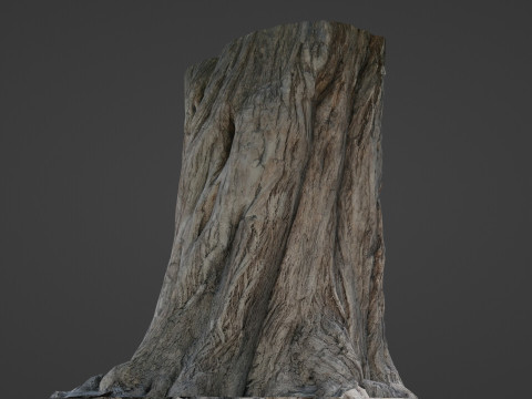 Trunk Aged 3D Model